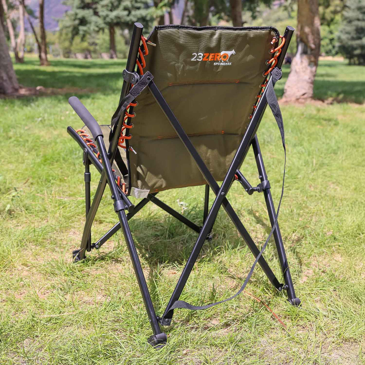 Springbak Chair